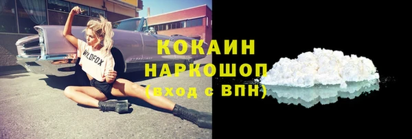 индика Заволжье