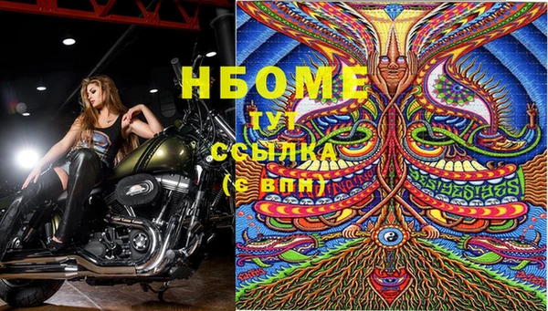 ПСИЛОЦИБИНОВЫЕ ГРИБЫ Покровск